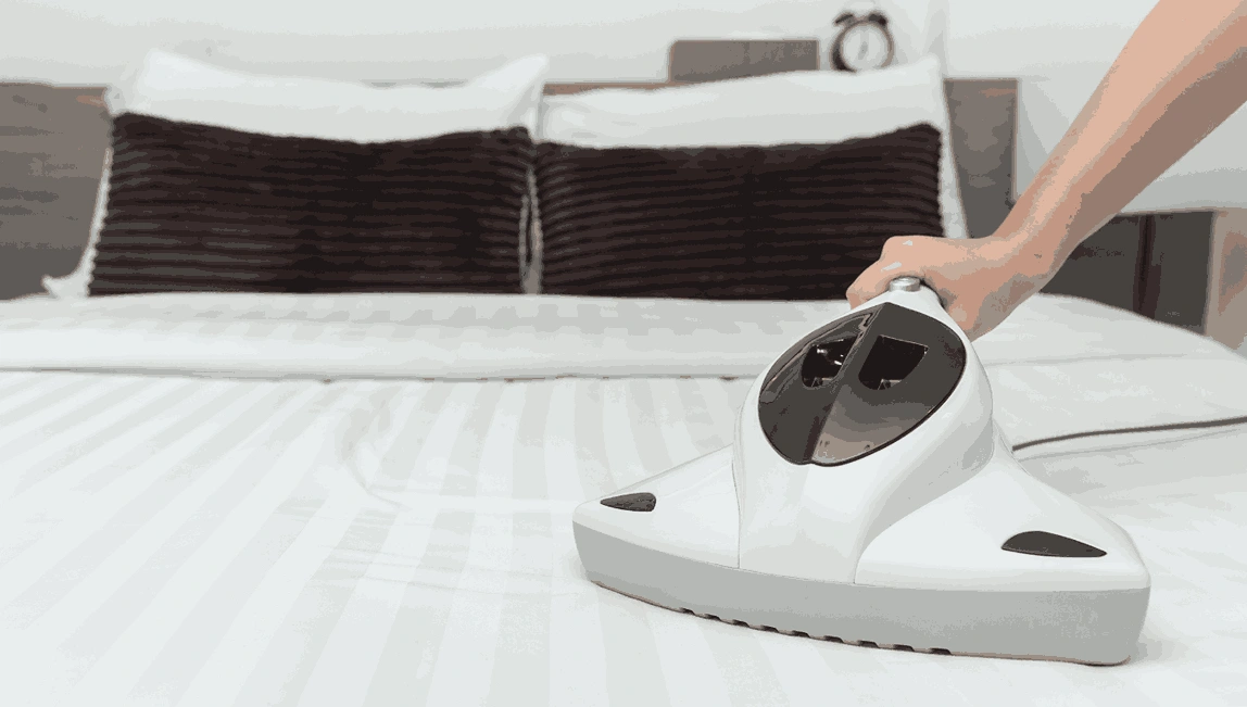 Professional Mattress Cleaning Highton